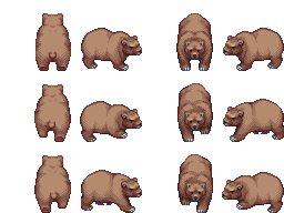 Bear